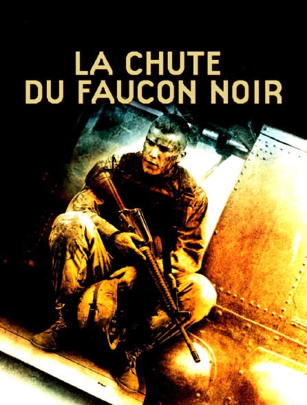 La chute du Faucon noir