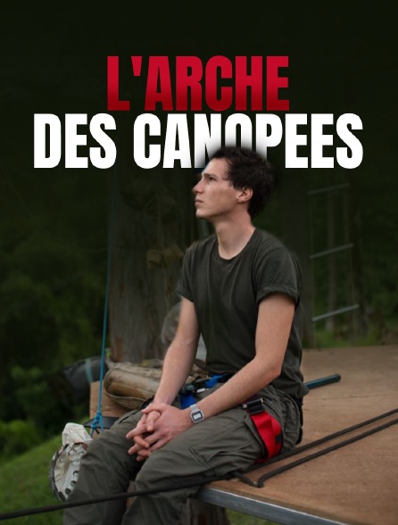 L'arche des canopées