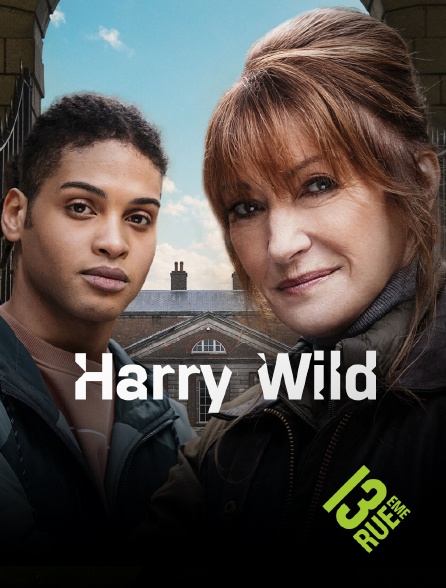 13EME RUE - Harry Wild - S02E01