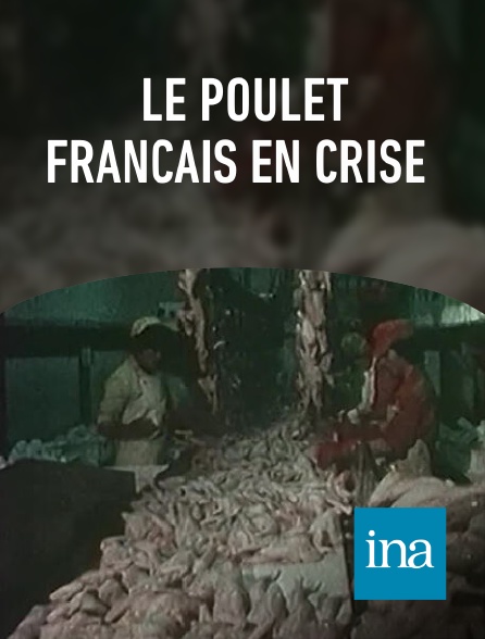 INA - Le poulet français en crise