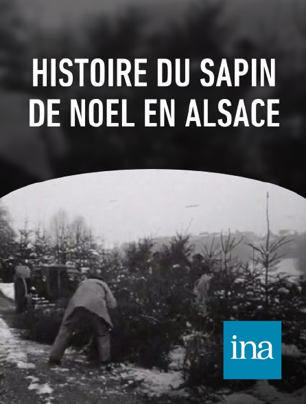 INA - Histoire du sapin de noël en Alsace