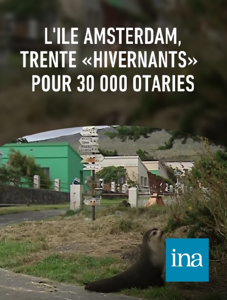 INA - L'île Amsterdam, trente «hivernants» pour 30 000 otaries