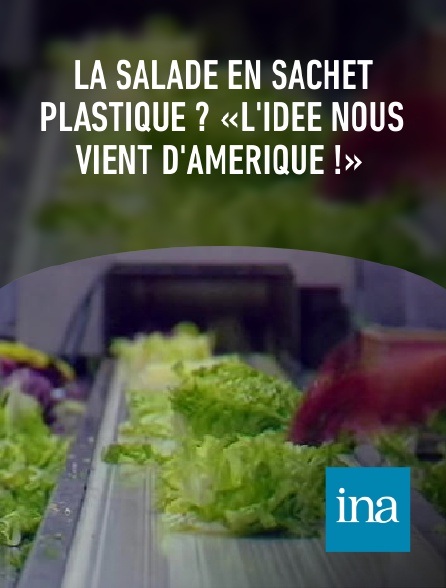 INA - La salade en sachet plastique ? «L'idée nous vient d'Amérique !»